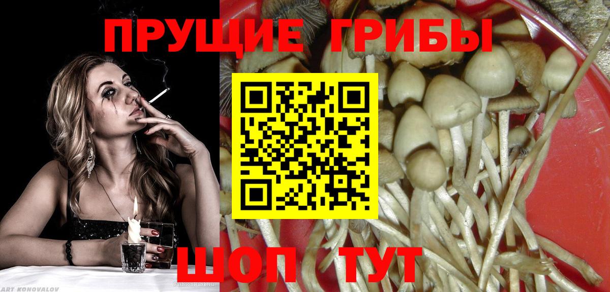 Галлюциногенные грибы прущие грибы  Галлюциногенные грибы MAGIC MUSHROOMS  Вход с VPN  Пенза 